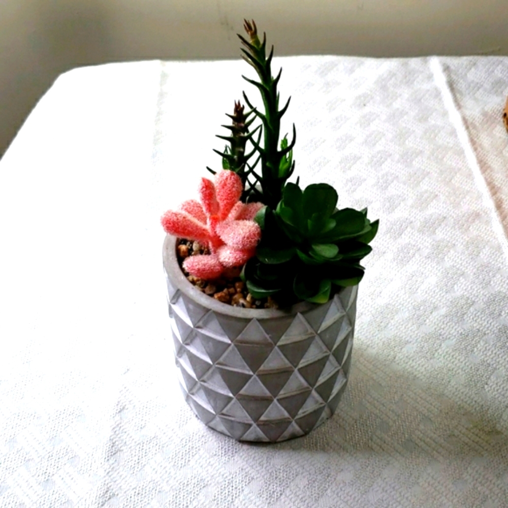 Cement Look Pot Faux Succulents Lifelike Well Made